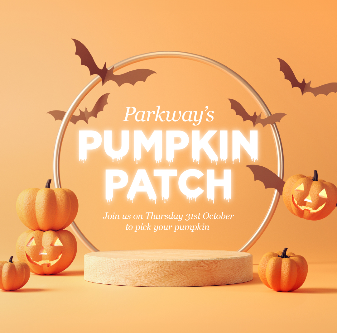 Featured image for “Parkway’s Pumpkin Patch”