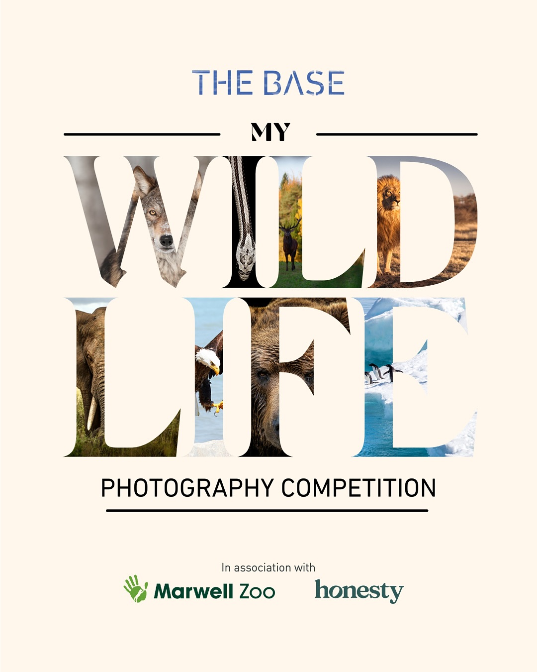 Featured image for “My Wild Life Exhibition at Honesty”